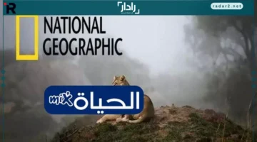 تردد قناة ناشيونال جيوغرافيك الجديد 2025 على نايل سات وعرب سات للمغامرين وعشاق الطبيعة